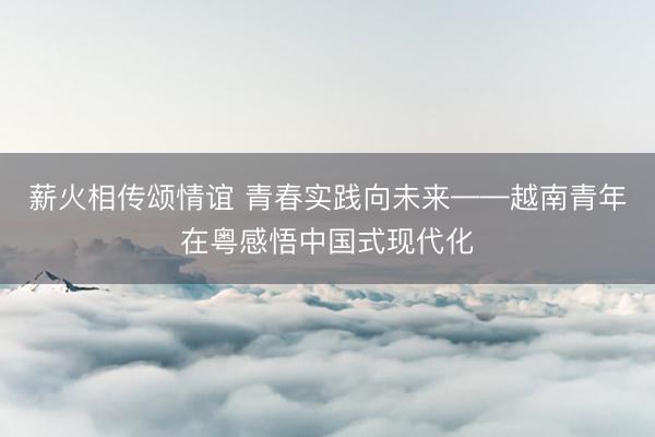 薪火相传颂情谊 青春实践向未来——越南青年在粤感悟中国式现代化