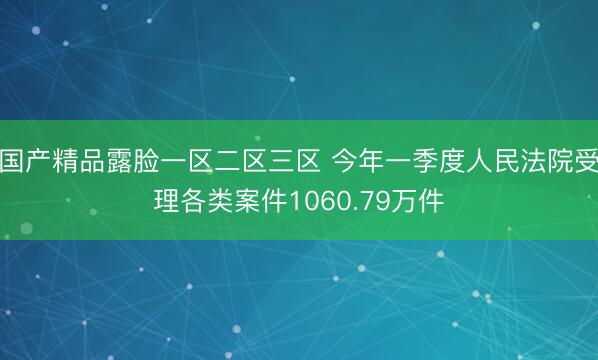 国产精品露脸一区二区三区 今年一季度人民法院受理各类案件1060.79万件