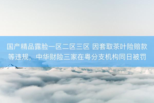 国产精品露脸一区二区三区 因套取茶叶险赔款等违规，中华财险三家在粤分支机构同日被罚