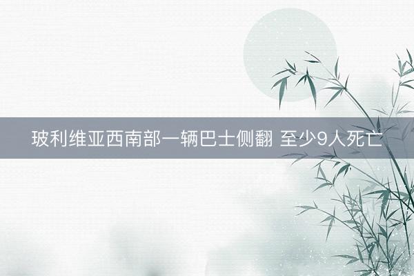 玻利维亚西南部一辆巴士侧翻 至少9人死亡