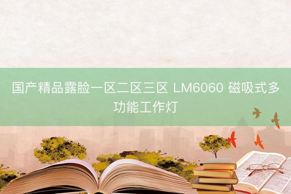 国产精品露脸一区二区三区 LM6060 磁吸式多功能工作灯