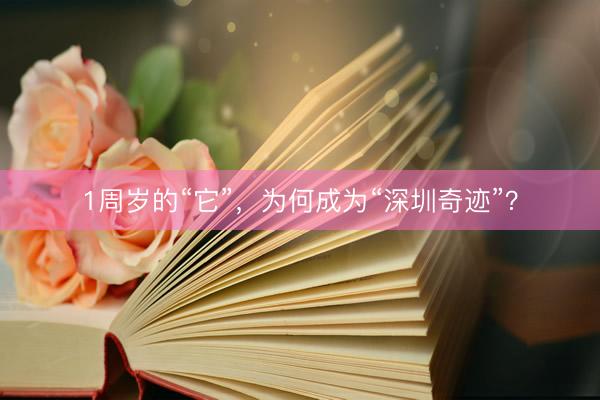 1周岁的“它”，为何成为“深圳奇迹”？