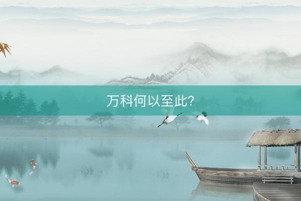 万科何以至此？