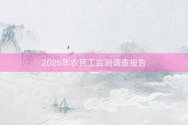 2025年农民工监测调查报告