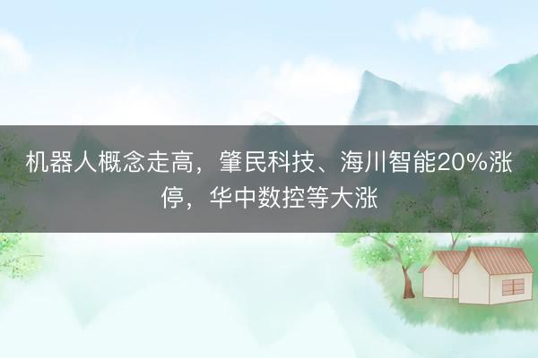 机器人概念走高，肇民科技、海川智能20%涨停，华中数控等大涨