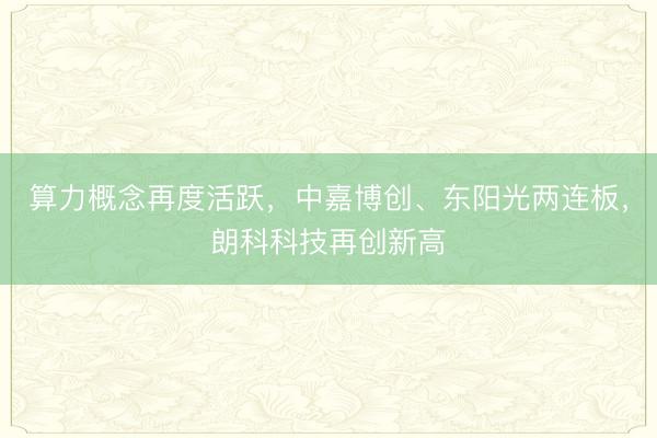 算力概念再度活跃,中嘉博创、东阳光两连板,朗科科技再创新高