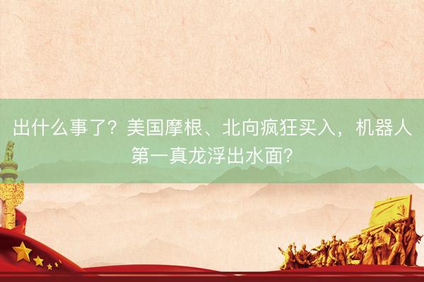 出什么事了？美国摩根、北向疯狂买入，机器人第一真龙浮出水面？