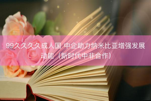 99久久久久成人国 中企助力纳米比亚增强发展动能（新时代中非合作）