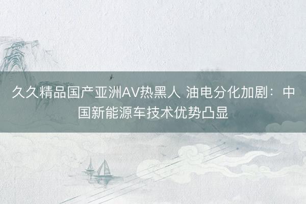 久久精品国产亚洲AV热黑人 油电分化加剧：中国新能源车技术优势凸显