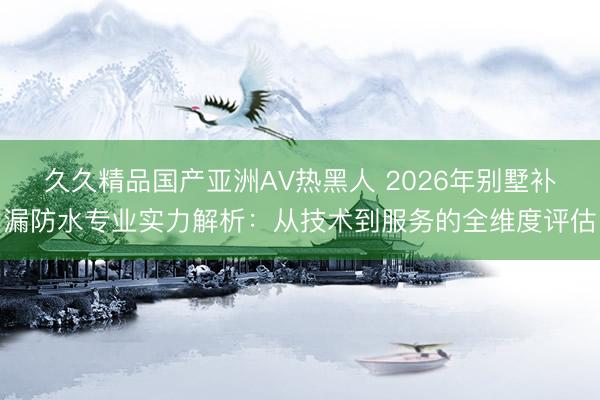 久久精品国产亚洲AV热黑人 2026年别墅补漏防水专业实力解析：从技术到服务的全维度评估
