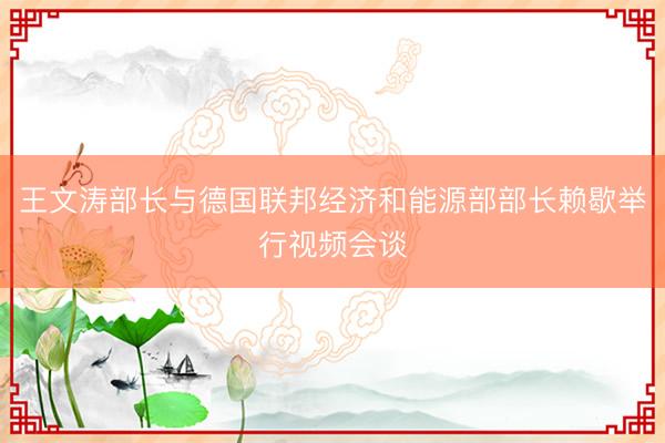 王文涛部长与德国联邦经济和能源部部长赖歇举行视频会谈