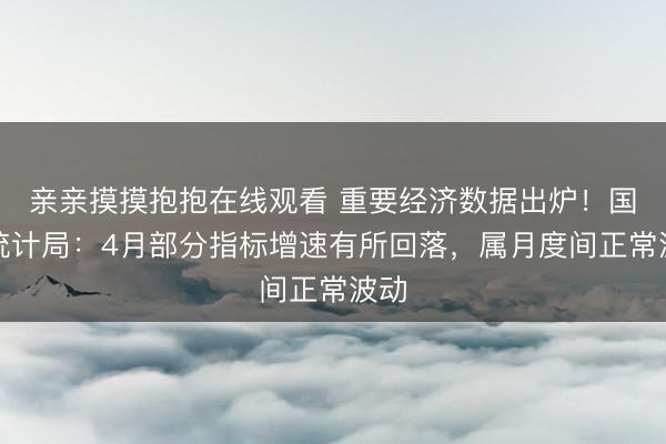 亲亲摸摸抱抱在线观看 重要经济数据出炉！国家统计局：4月部分指标增速有所回落，属月度间正常波动