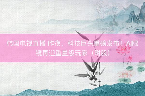 韩国电视直播 昨夜，科技巨头重磅发布！AI眼镜再迎重量级玩家（附股）