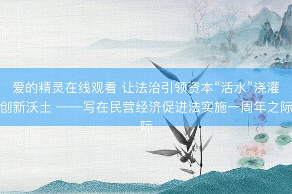 爱的精灵在线观看 让法治引领资本“活水”浇灌创新沃土 ——写在民营经济促进法实施一周年之际