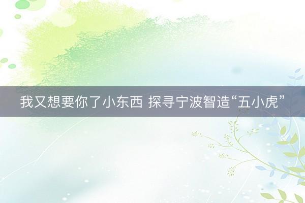 我又想要你了小东西 探寻宁波智造“五小虎”