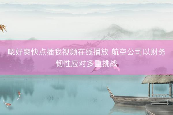 嗯好爽快点插我视频在线播放 航空公司以财务韧性应对多重挑战