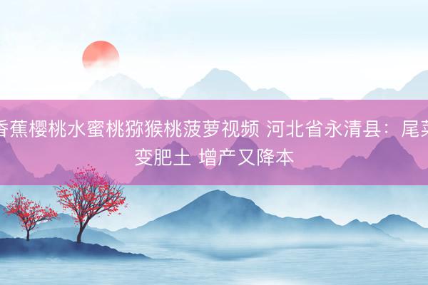 香蕉樱桃水蜜桃猕猴桃菠萝视频 河北省永清县:尾菜变肥土 增产又降本
