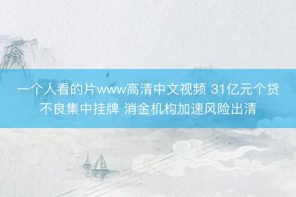 一个人看的片www高清中文视频 31亿元个贷不良集中挂牌 消金机构加速风险出清