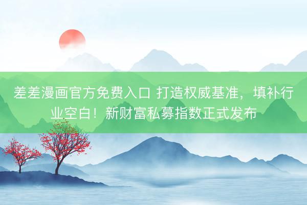 差差漫画官方免费入口 打造权威基准，填补行业空白！新财富私募指数正式发布
