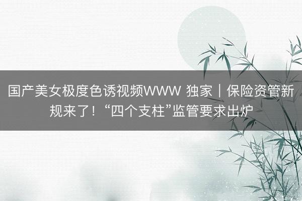 国产美女极度色诱视频WWW 独家｜保险资管新规来了！“四个支柱”监管要求出炉