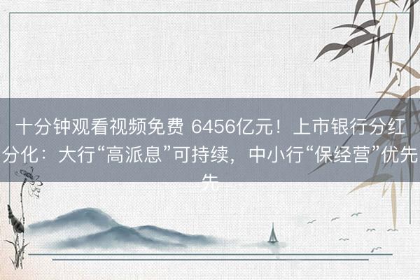十分钟观看视频免费 6456亿元！上市银行分红分化：大行“高派息”可持续，中小行“保经营”优先