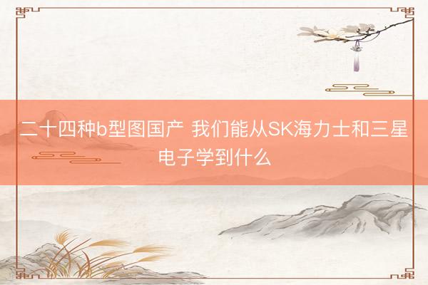 二十四种b型图国产 我们能从SK海力士和三星电子学到什么