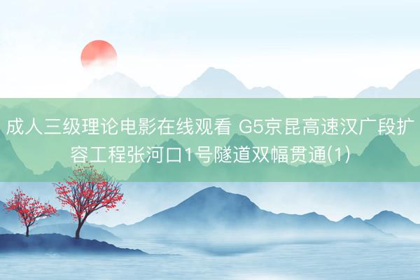 成人三级理论电影在线观看 G5京昆高速汉广段扩容工程张河口1号隧道双幅贯通(1)