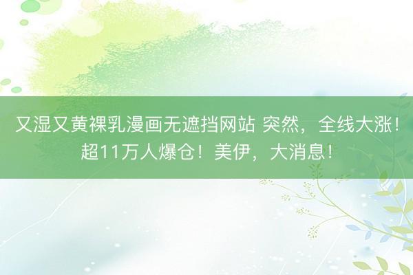又湿又黄裸乳漫画无遮挡网站 突然，全线大涨！超11万人爆仓！美伊，大消息！