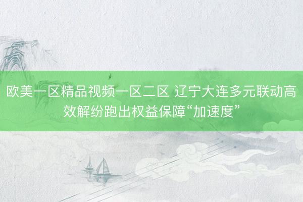 欧美一区精品视频一区二区 辽宁大连多元联动高效解纷跑出权益保障“加速度”