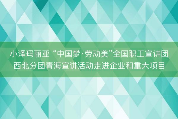 小泽玛丽亚 “中国梦·劳动美”全国职工宣讲团西北分团青海宣讲活动走进企业和重大项目