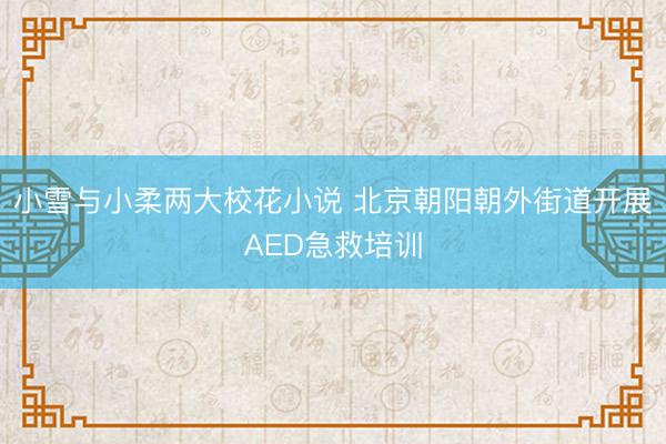 小雪与小柔两大校花小说 北京朝阳朝外街道开展AED急救培训