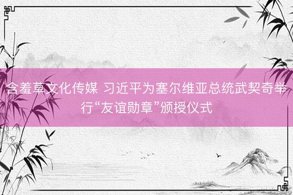 含羞草文化传媒 习近平为塞尔维亚总统武契奇举行“友谊勋章”颁授仪式