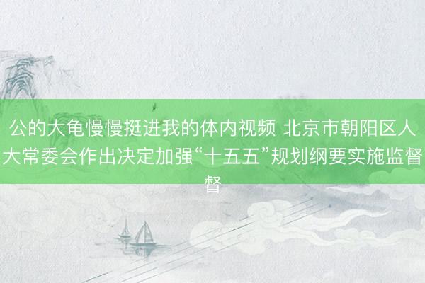公的大龟慢慢挺进我的体内视频 北京市朝阳区人大常委会作出决定加强“十五五”规划纲要实施监督