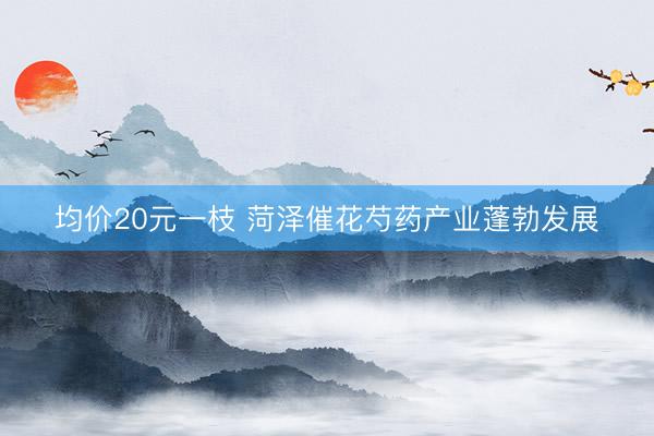 均价20元一枝 菏泽催花芍药产业蓬勃发展