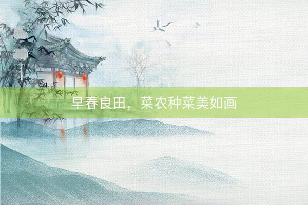 早春良田，菜农种菜美如画