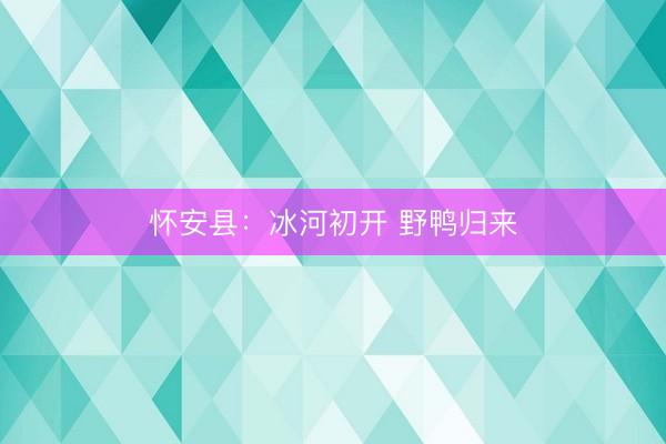 怀安县：冰河初开 野鸭归来