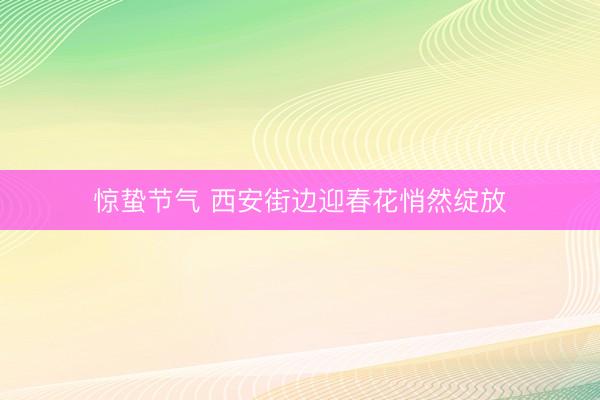 惊蛰节气 西安街边迎春花悄然绽放
