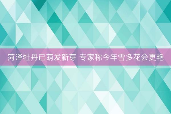 菏泽牡丹已萌发新芽 专家称今年雪多花会更艳