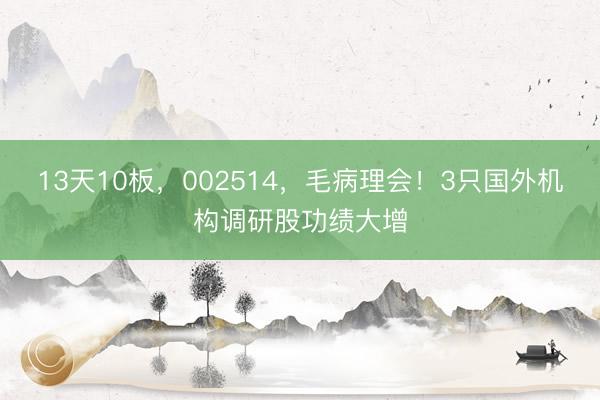13天10板，002514，毛病理会！3只国外机构调研股功绩大增