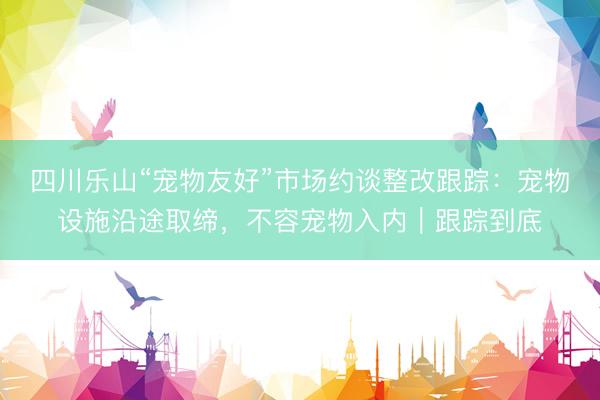 四川乐山“宠物友好”市场约谈整改跟踪：宠物设施沿途取缔，不容宠物入内｜跟踪到底