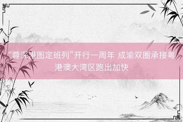 “蓉深港图定班列”开行一周年 成渝双圈承接粤港澳大湾区跑出加快