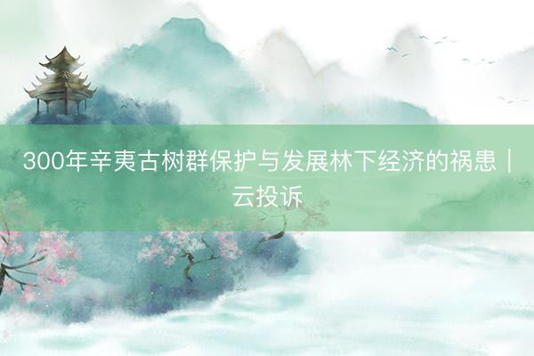 300年辛夷古树群保护与发展林下经济的祸患｜云投诉