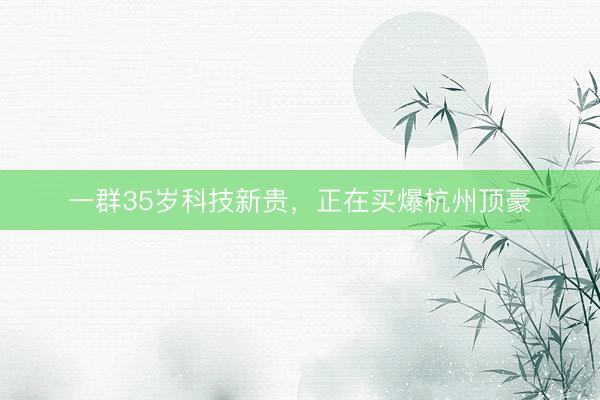 一群35岁科技新贵，正在买爆杭州顶豪