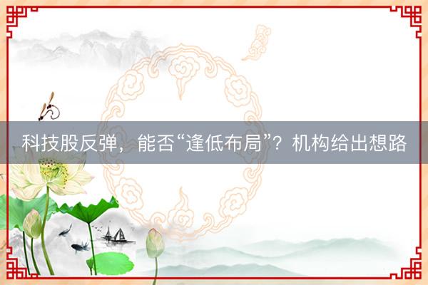 科技股反弹，能否“逢低布局”？机构给出想路