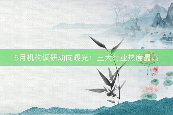 5月机构调研动向曝光：三大行业热度最高