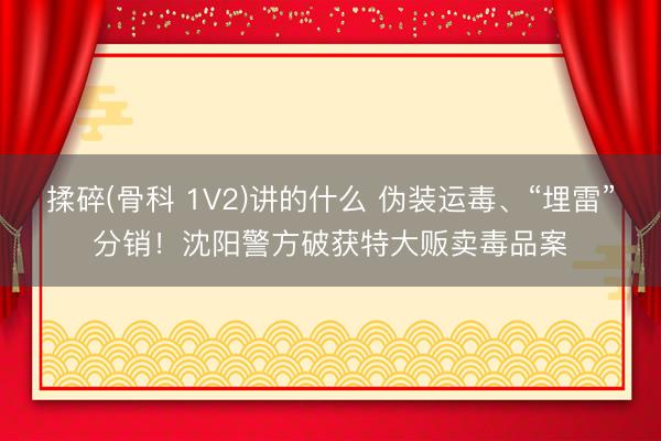 揉碎(骨科 1V2)讲的什么 伪装运毒、“埋雷”分销！沈阳警方破获特大贩卖毒品案