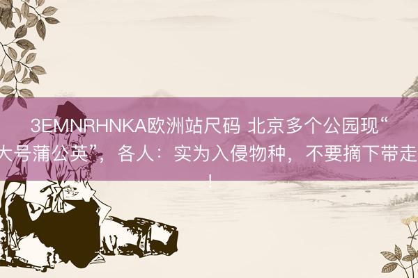 3EMNRHNKA欧洲站尺码 北京多个公园现“大号蒲公英”，各人：实为入侵物种，不要摘下带走！