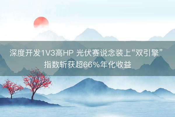 深度开发1V3高HP 光伏赛说念装上“双引擎” 指数斩获超66%年化收益