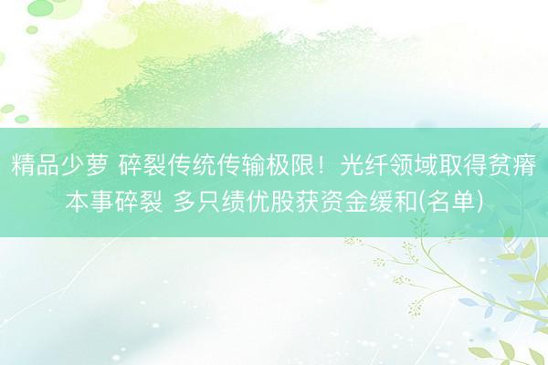 精品少萝 碎裂传统传输极限！光纤领域取得贫瘠本事碎裂 多只绩优股获资金缓和(名单)