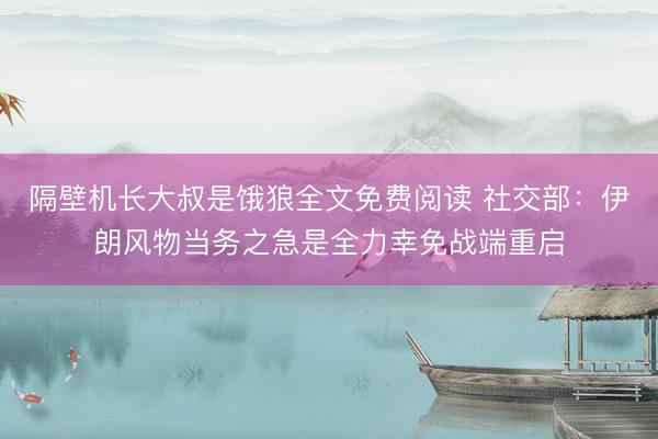隔壁机长大叔是饿狼全文免费阅读 社交部：伊朗风物当务之急是全力幸免战端重启